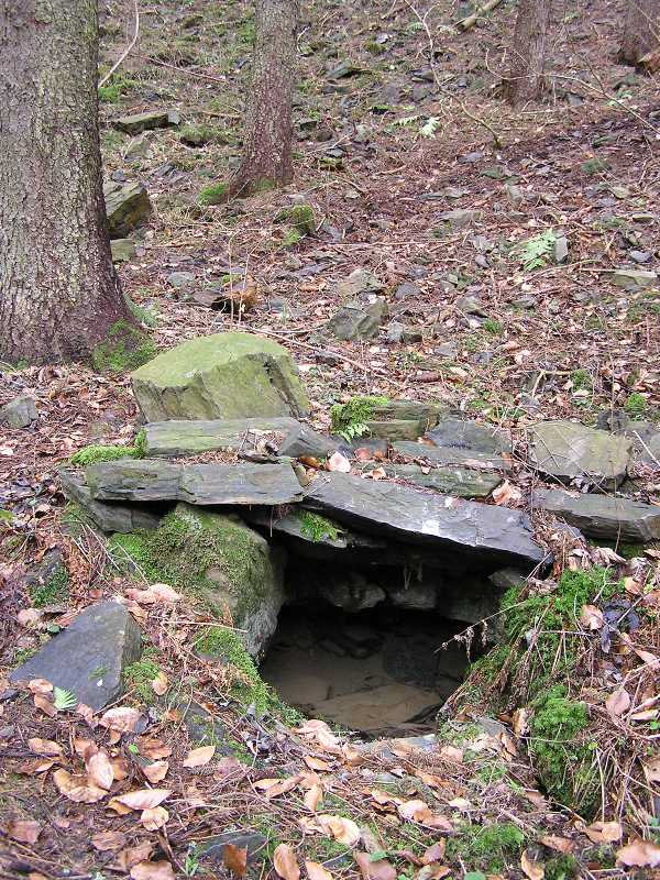 Lesní studánka (4348)