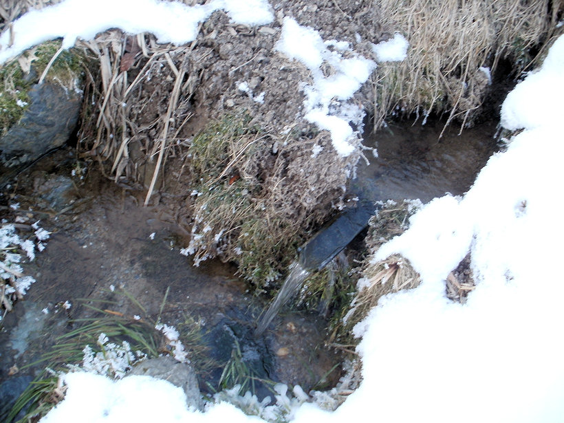 studánka bez jména (4354)
