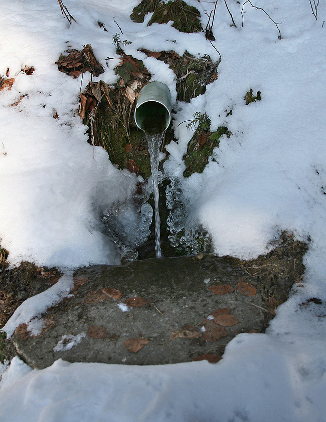 studánka Hawai (4358)