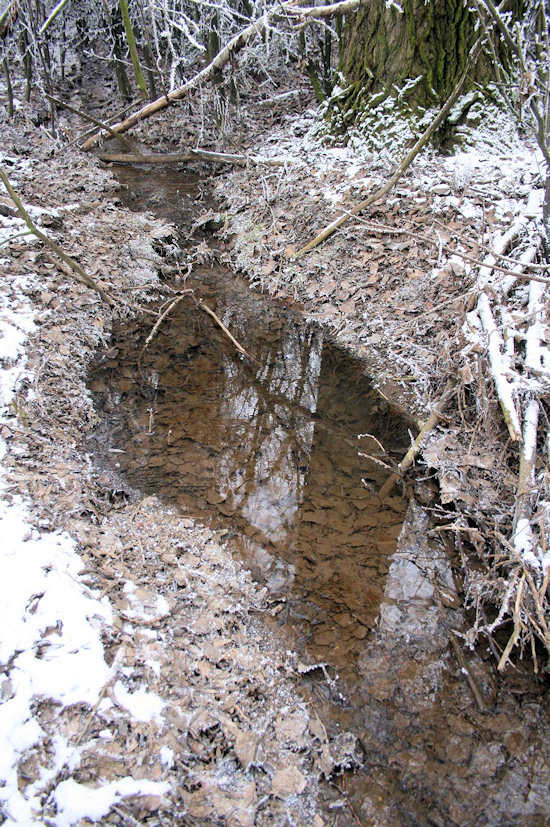 Prameniště u Hrušky (4363)