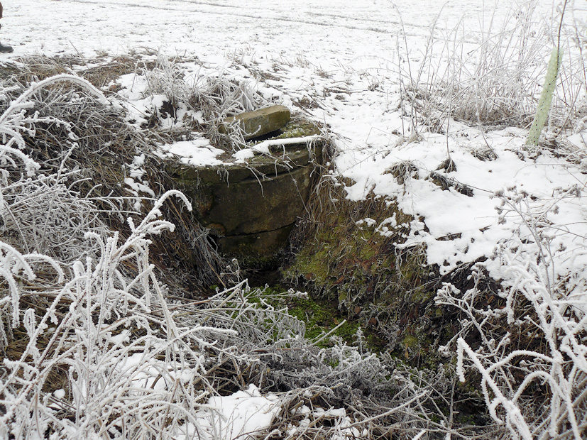 studánka bez jména (4366)