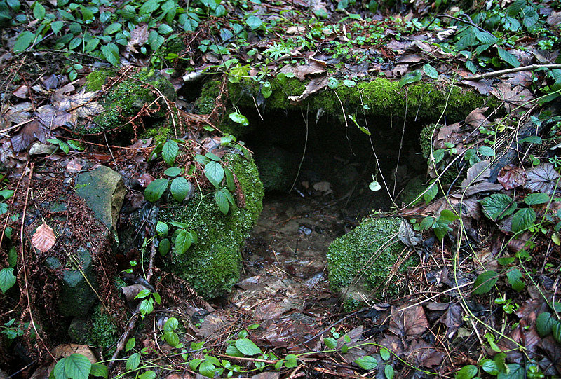 Masarykova studánka (4369)