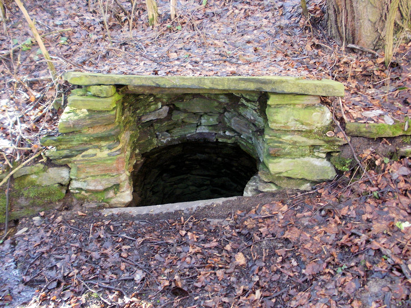 studánka bez jména (4370)