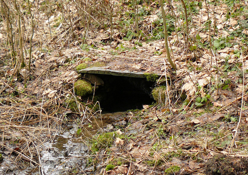 Wilhelmova studánka (4373)