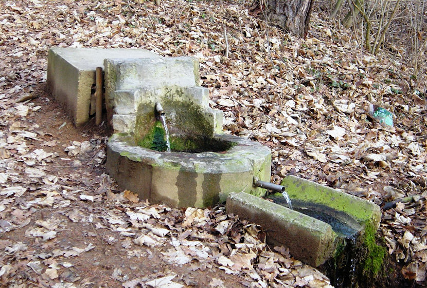 studánka U hřiště (4375)