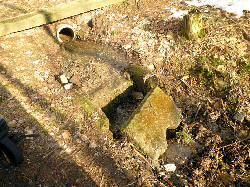 studánka U židovského hřbitova (4380)