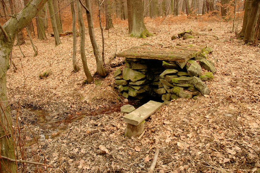 Studánka v Myslivcově žlebu 1 (4381)