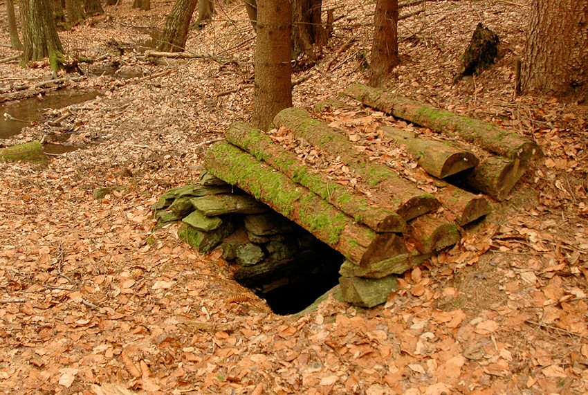 Studánka v Myslivcově žlebu 2 (4382)