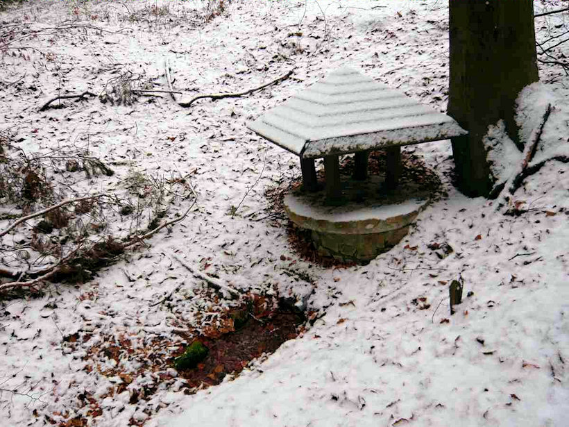 studánka Na Javornické hůře (4383)