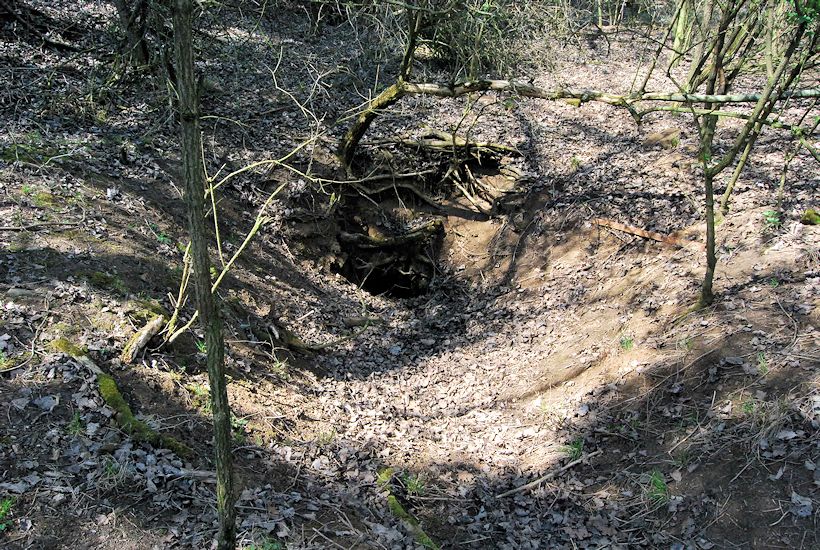 studánka U Vrby (4388)