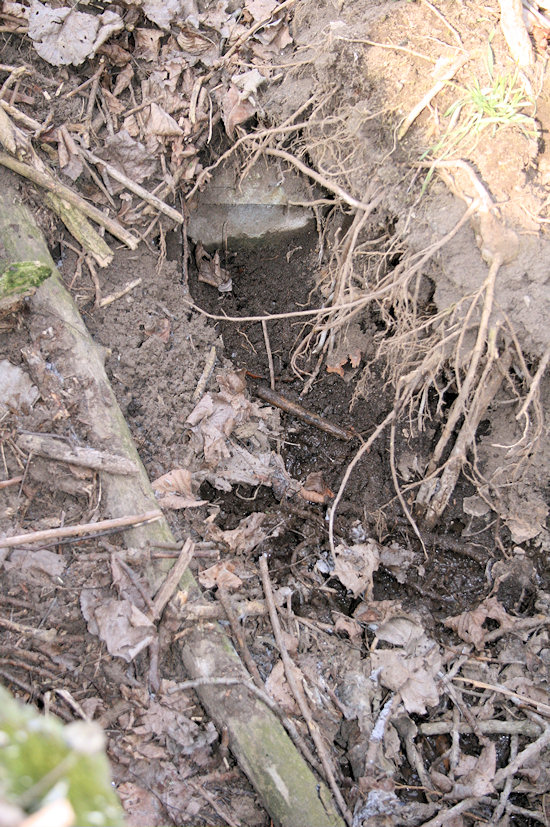 studánka Za Rybníkem (4392)