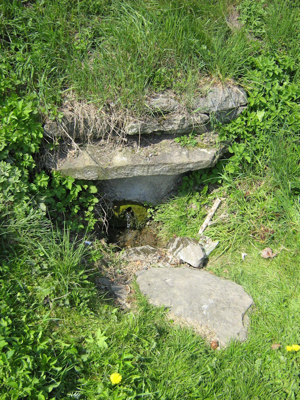 studánka Na Hřišti (4405)