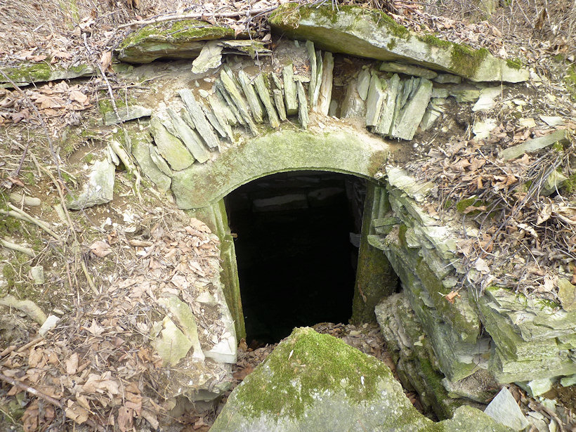 studánka Na Velké straně (4416)