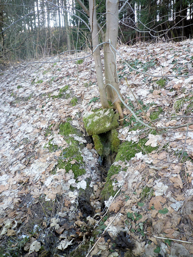 studánka Pod Smrky (4417)
