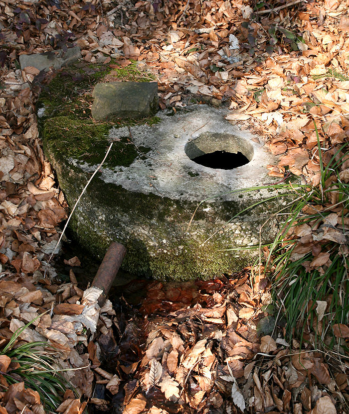 studánka Na Kopné (4426)