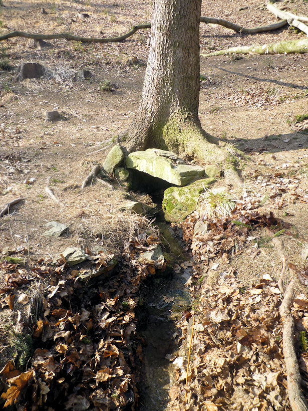 studánka Pod Přímem (4430)
