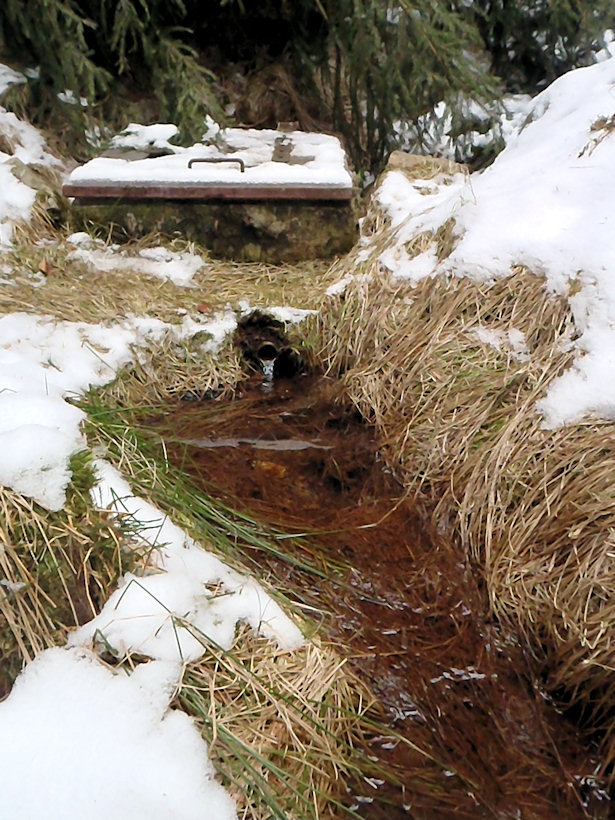 studánka U lovecké chaty (4431)
