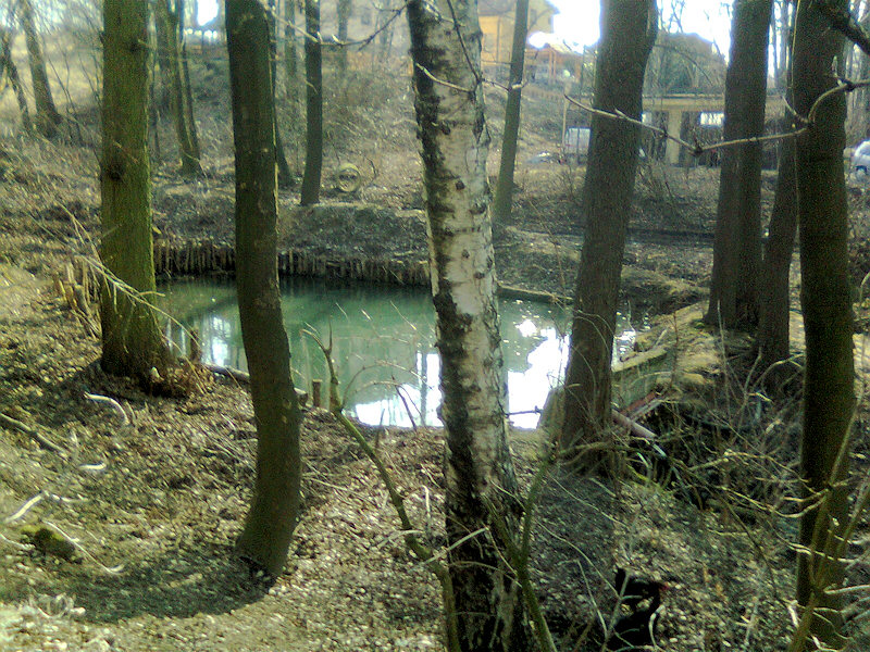 Václavův pramen (4435)