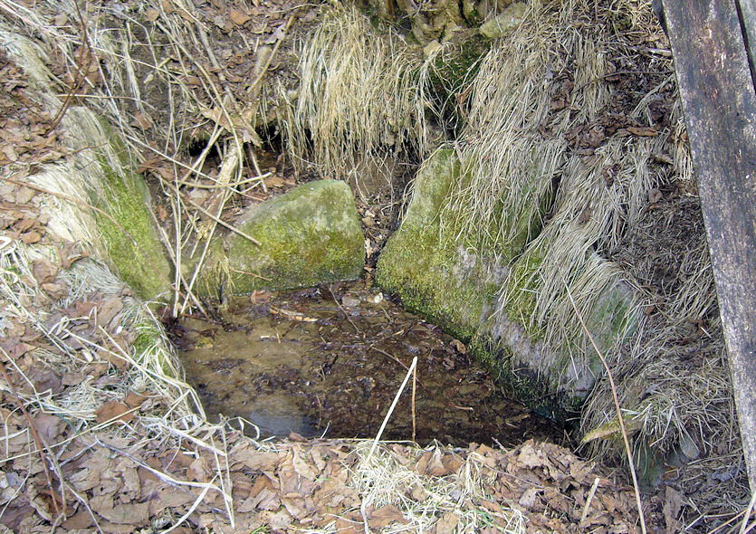 studánka bez jména (4441)