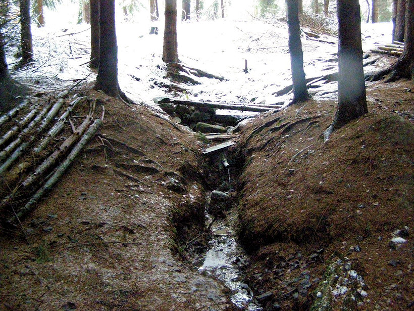 studánka bez jména (4444)