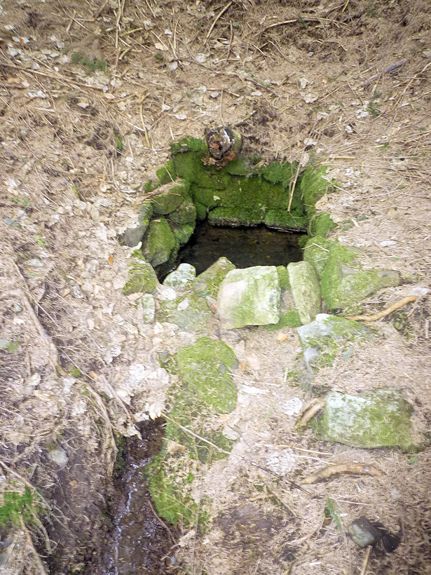 studánka Marijánská (4445)