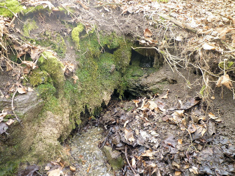 studánka Ve stráni (4446)