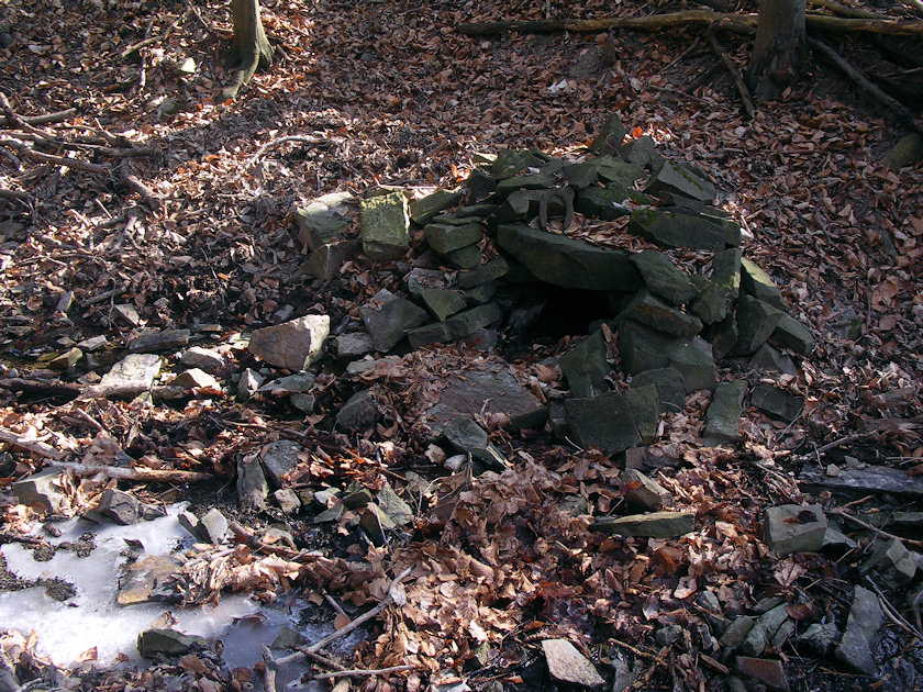 studánka V Páskové horce (4449)