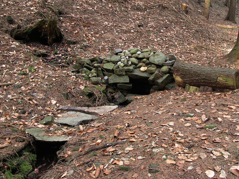 studánka U Nové cesty (4450)