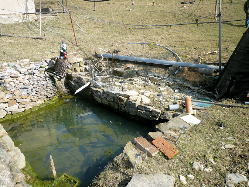 studánka Nad Zakopankou (4462)