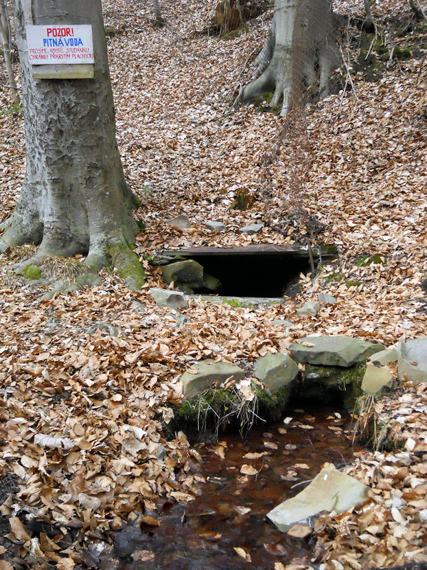 Studánka v Oklukách (4464)
