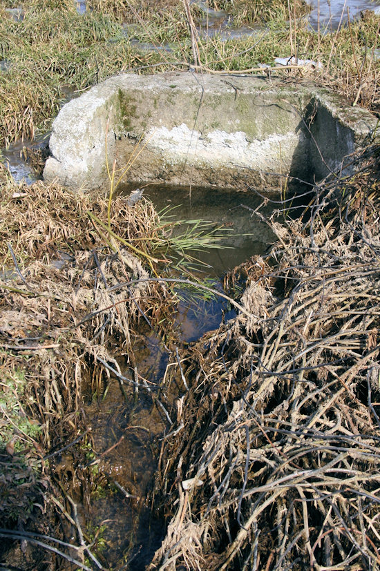 studánka bez jména (4465)
