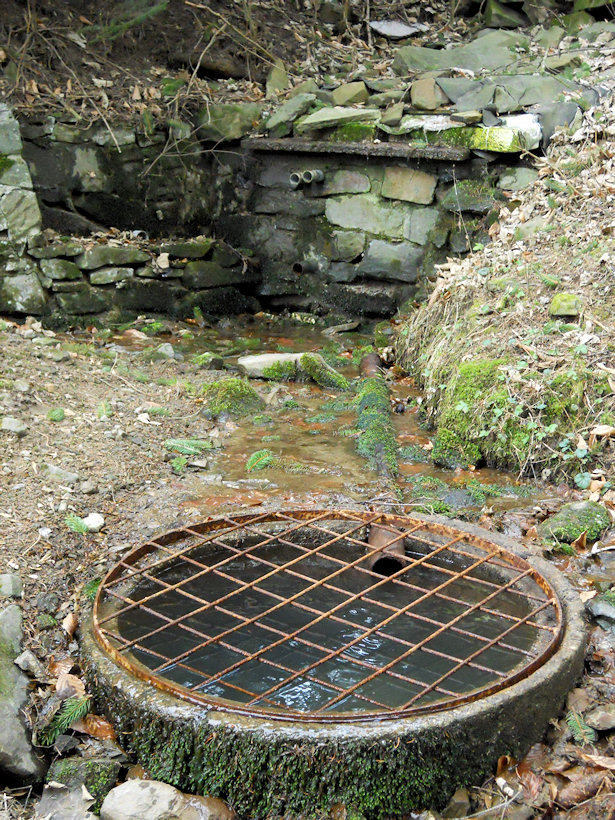 Kamenná studánka (4467)
