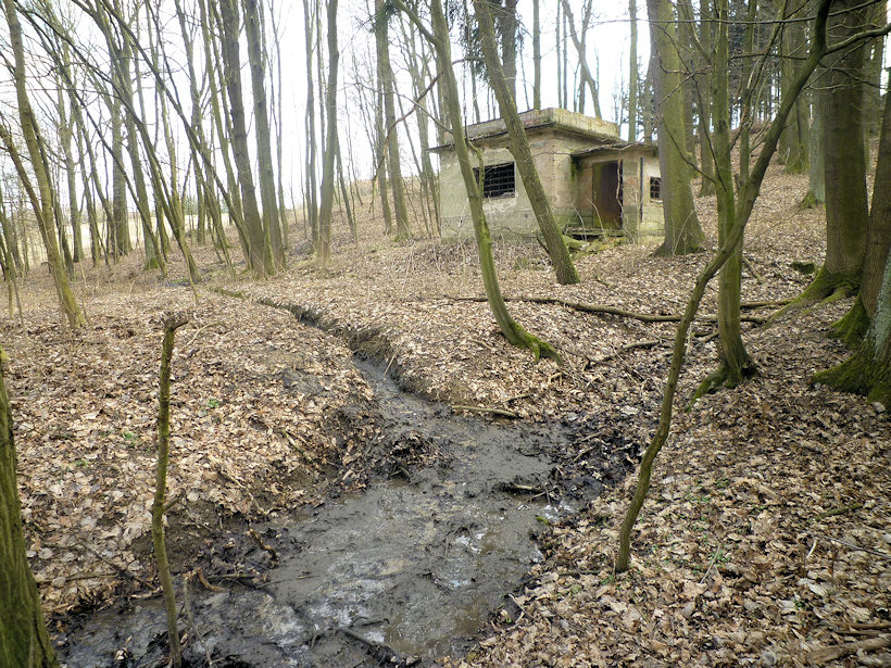 prameniště bez jména (4472)
