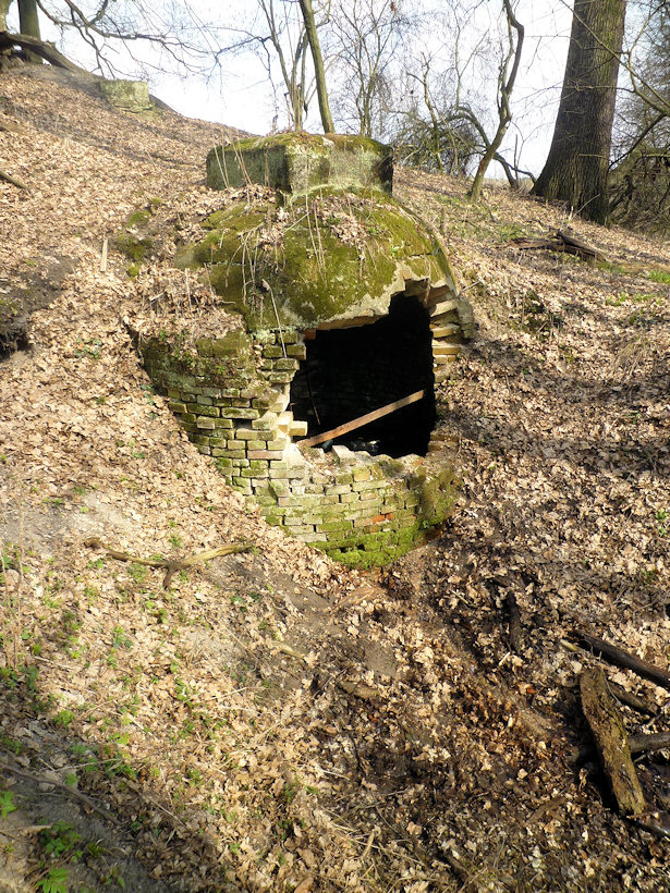 Studánka pod Strýcem (4473)