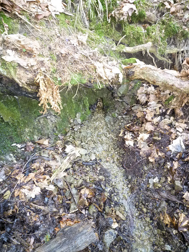 studánka Pantoflíček (4475)
