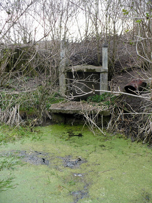 Studánka v Kořensku (4479)