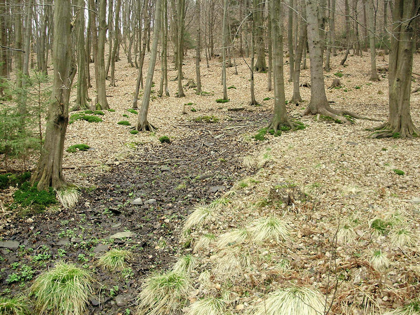 prameniště bez jména (4486)