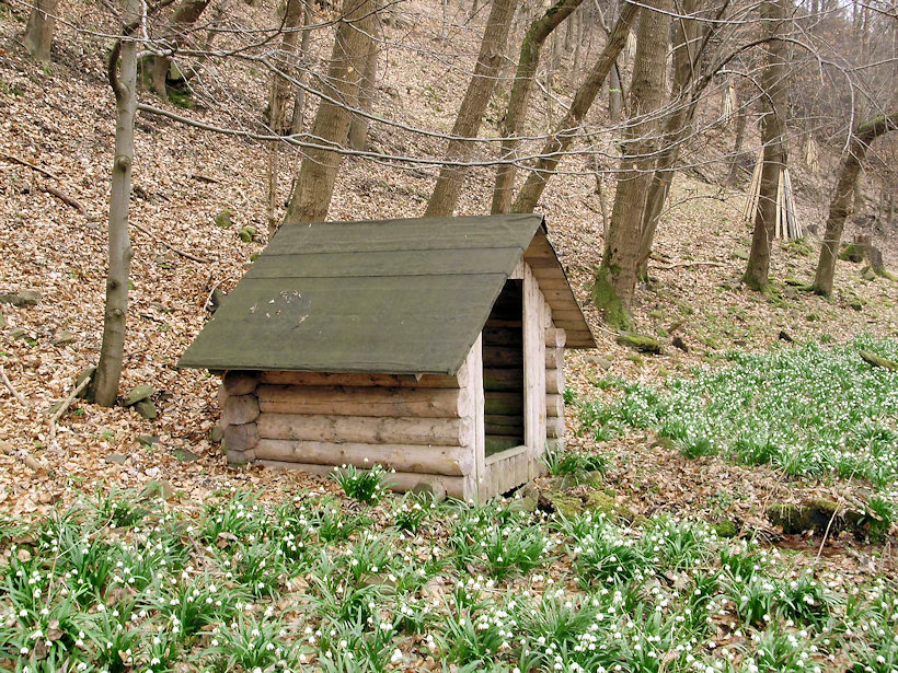 studánka Bledulka (4488)