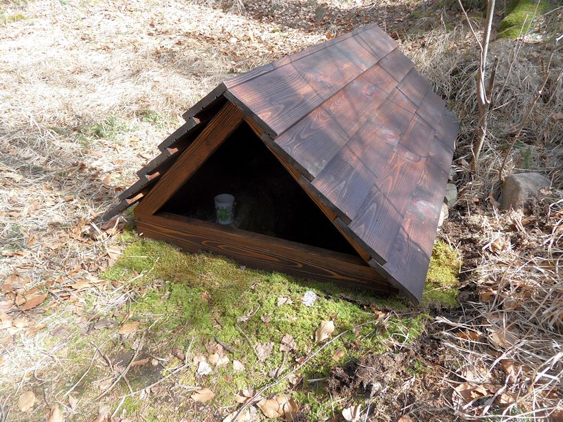studánka U menhiru (4509)