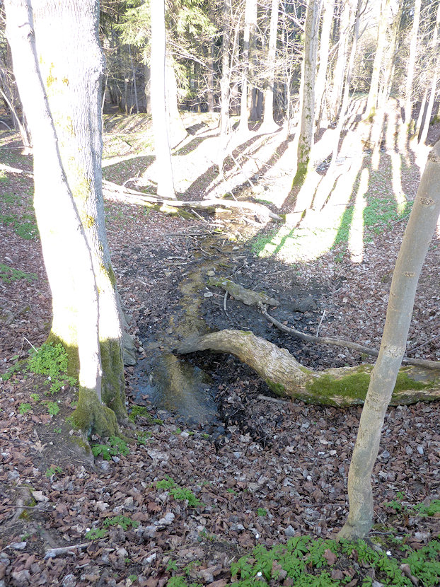 vyvěračka Perunova studánka (4520)