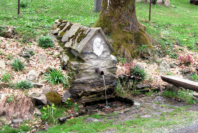 studánka Dolní Údolí (4528)