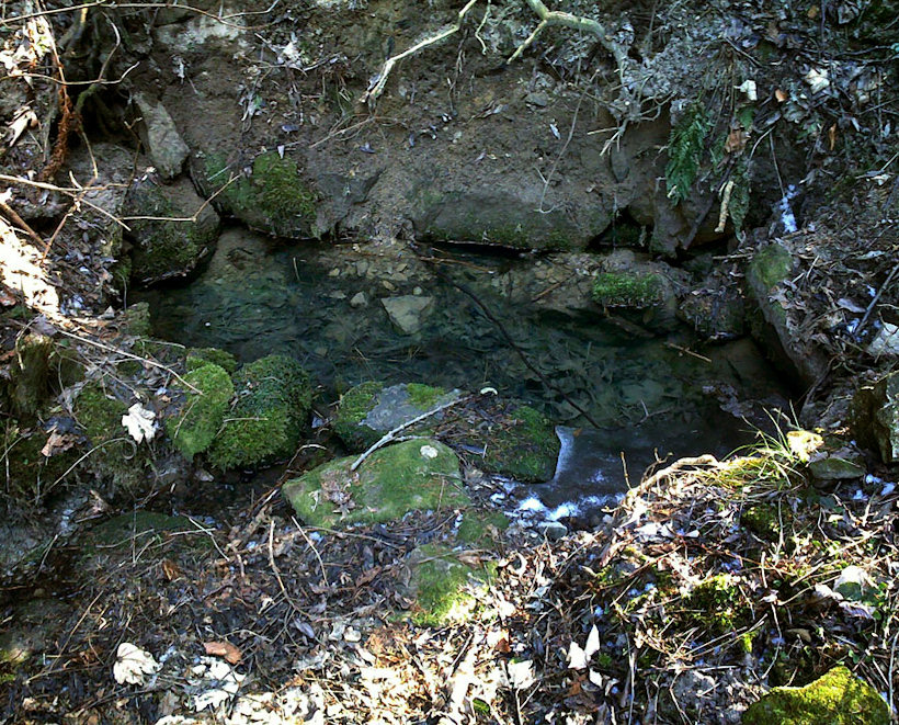 studánka bez jména (4530)
