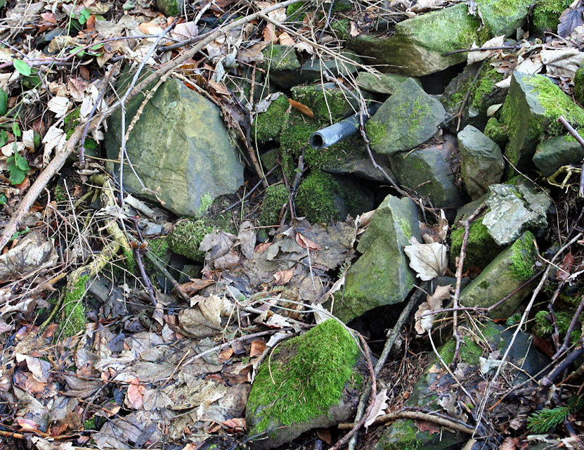 studánka U Vleku (4531)
