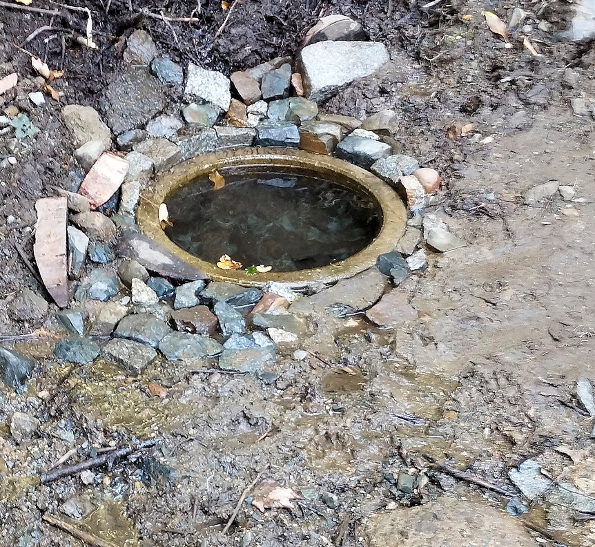 studánka U Interny (4554)