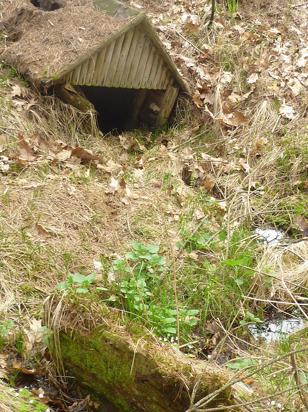 studánka Nad Výskytem (4556)