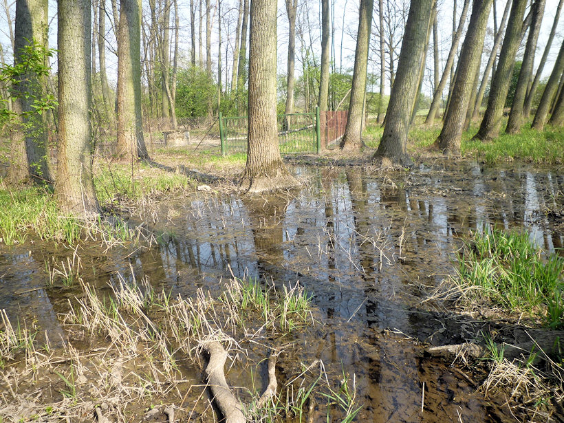 prameniště Zbytka (4559)