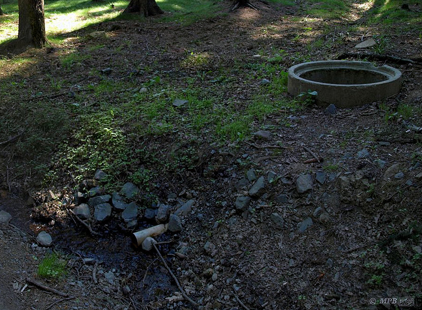 studánka U cesty (4568)