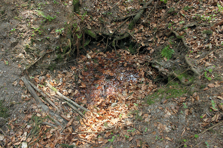 studánka Pod Bradlem (4571)