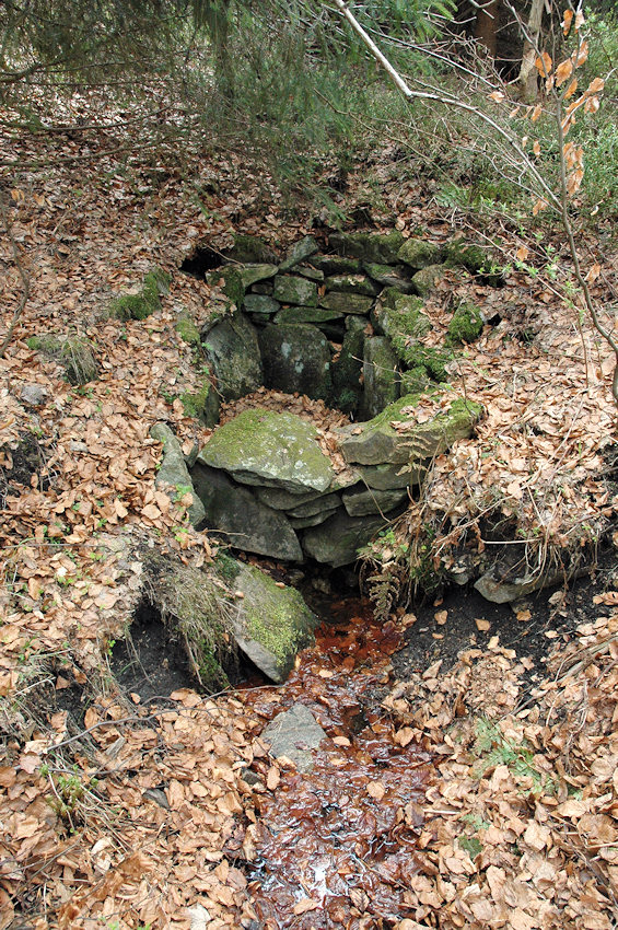 studánka U cesty (4573)