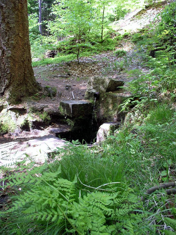 Kořenského pramen II (4587)